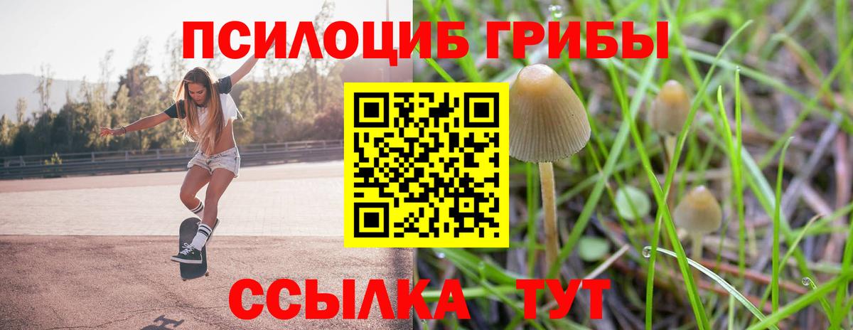 Галлюциногенные грибы GOLDEN TEACHER  Вход с VPN  Благодарный  купить наркотики цена  Галлюциногенные грибы GOLDEN TEACHER 