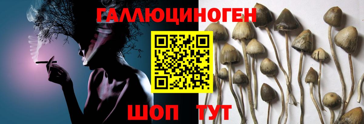 Псилоцибиновые грибы Magic Shrooms Благодарный